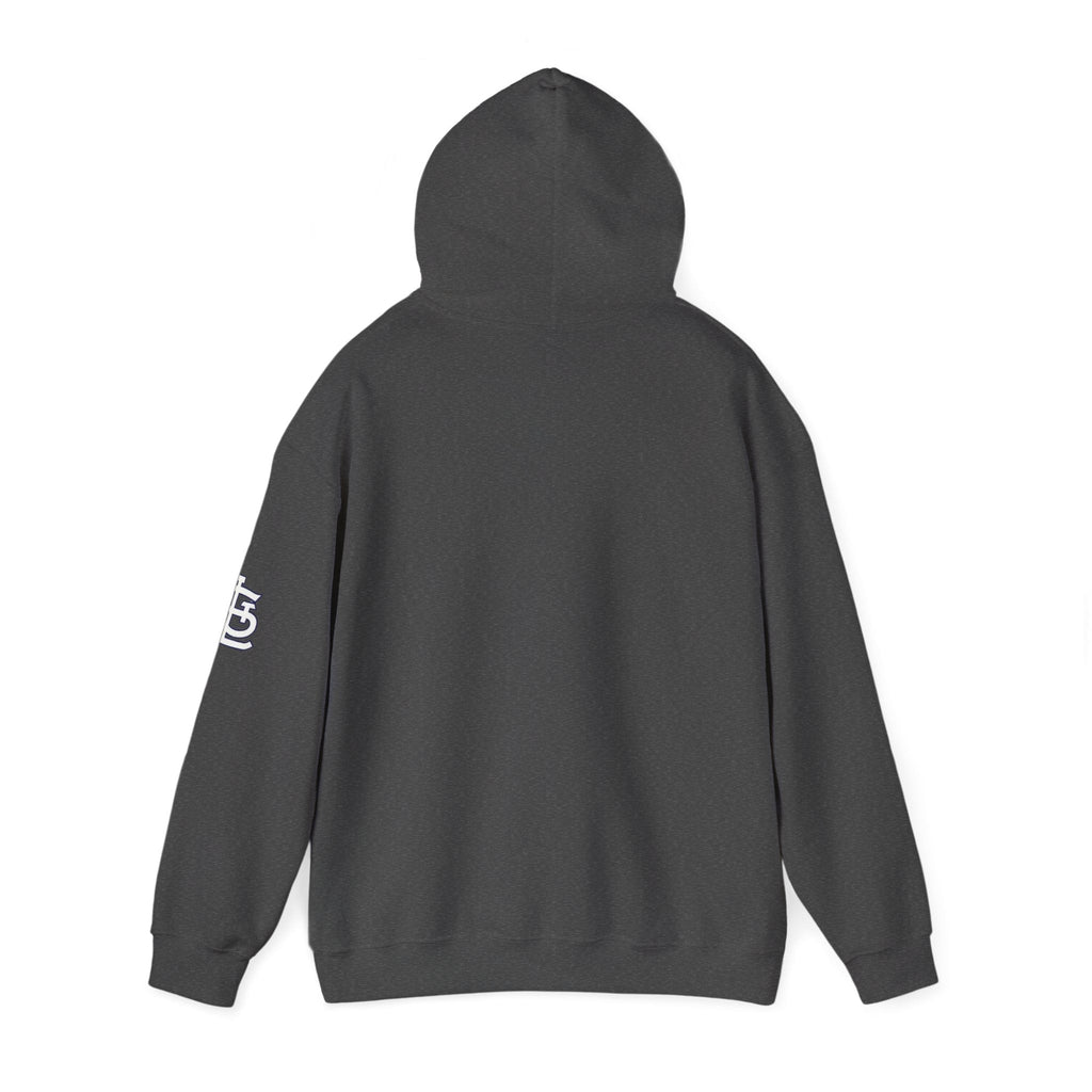City Skyline Hoodie — Black & White Waterfront Panorama Pullover - 314 Originals