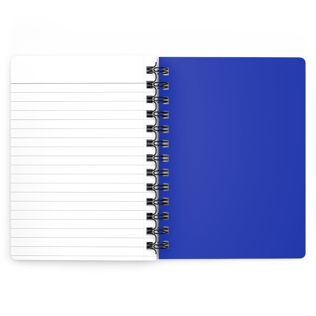 Class of 2027 Book of Secrets Spiral Journal - Blue - 314 Originals