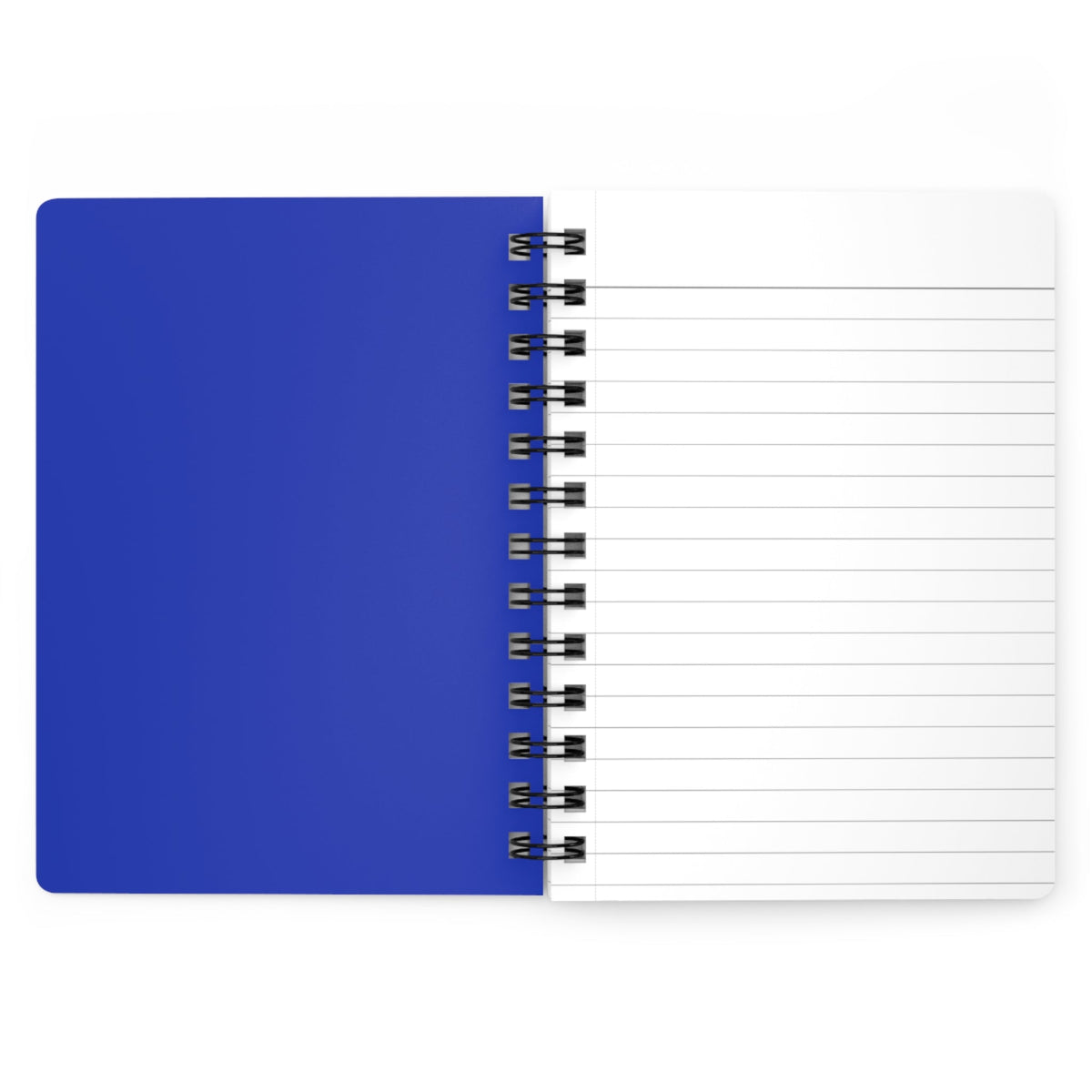 Class of 2027 Book of Secrets Spiral Journal - Blue - 314 Originals