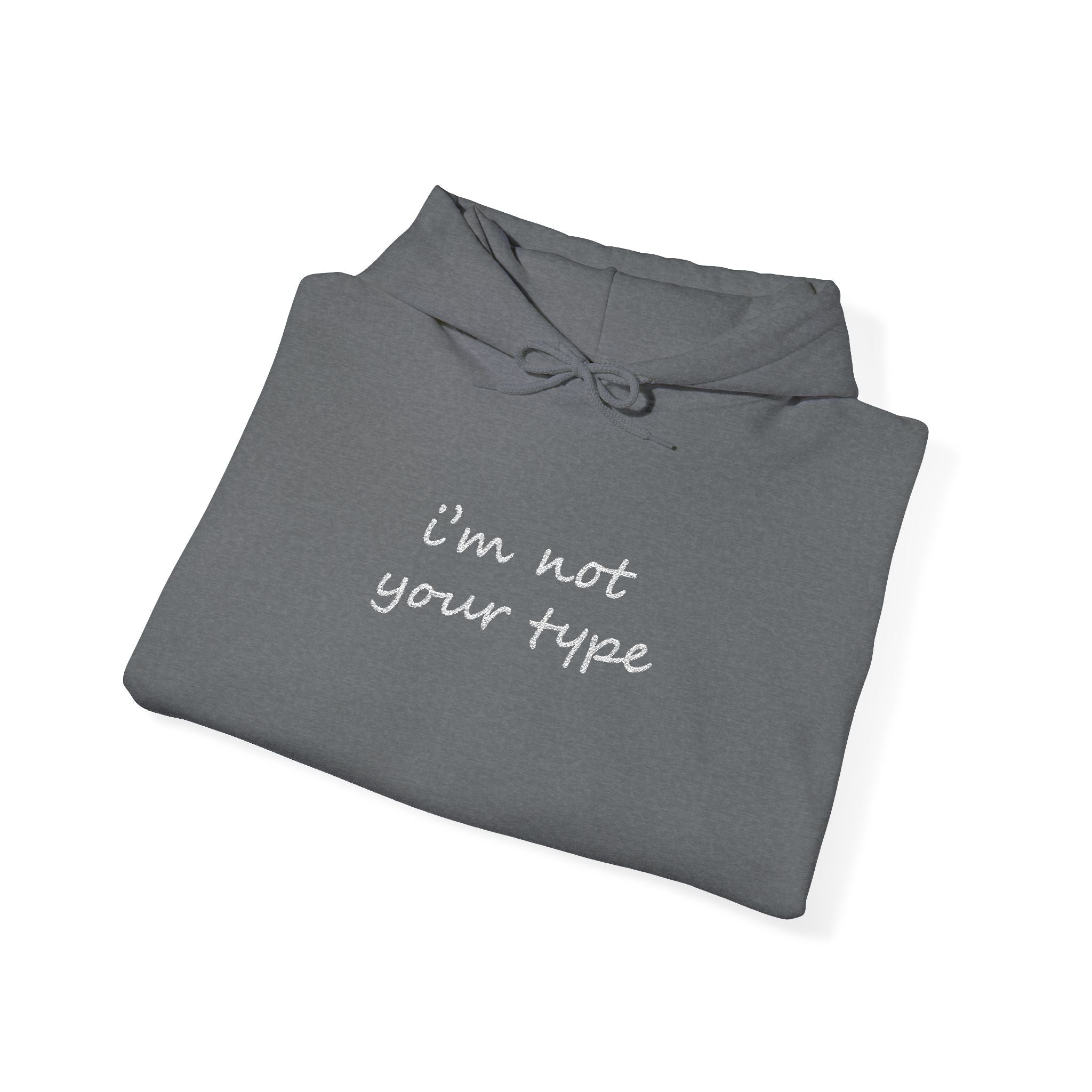 I'm Not Your Type Hoodie - Cute Script Graphic Pullover - 314 Originals