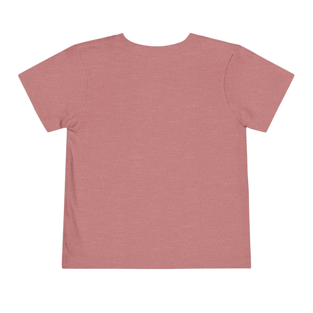 St Louis 314 All Day Toddler Tee - 314 Originals