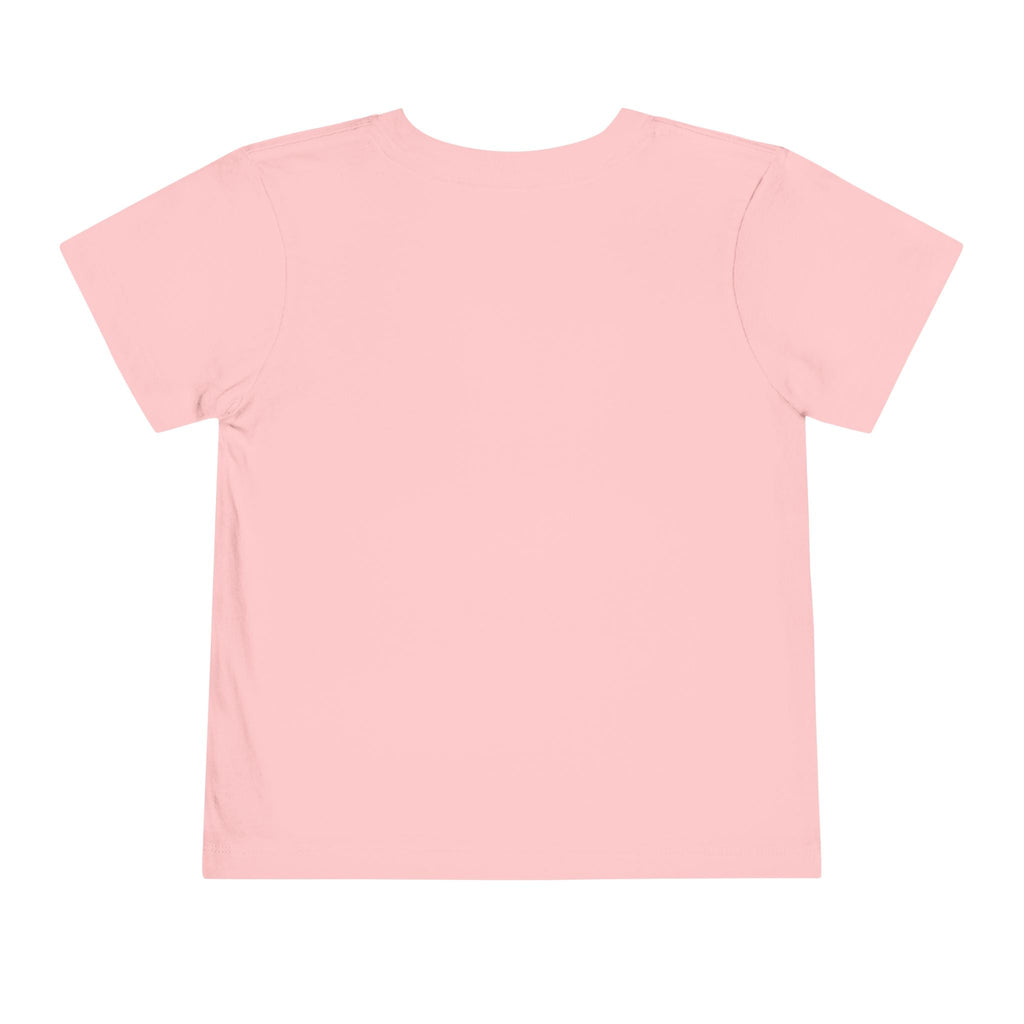 St Louis 314 All Day Toddler Tee - 314 Originals
