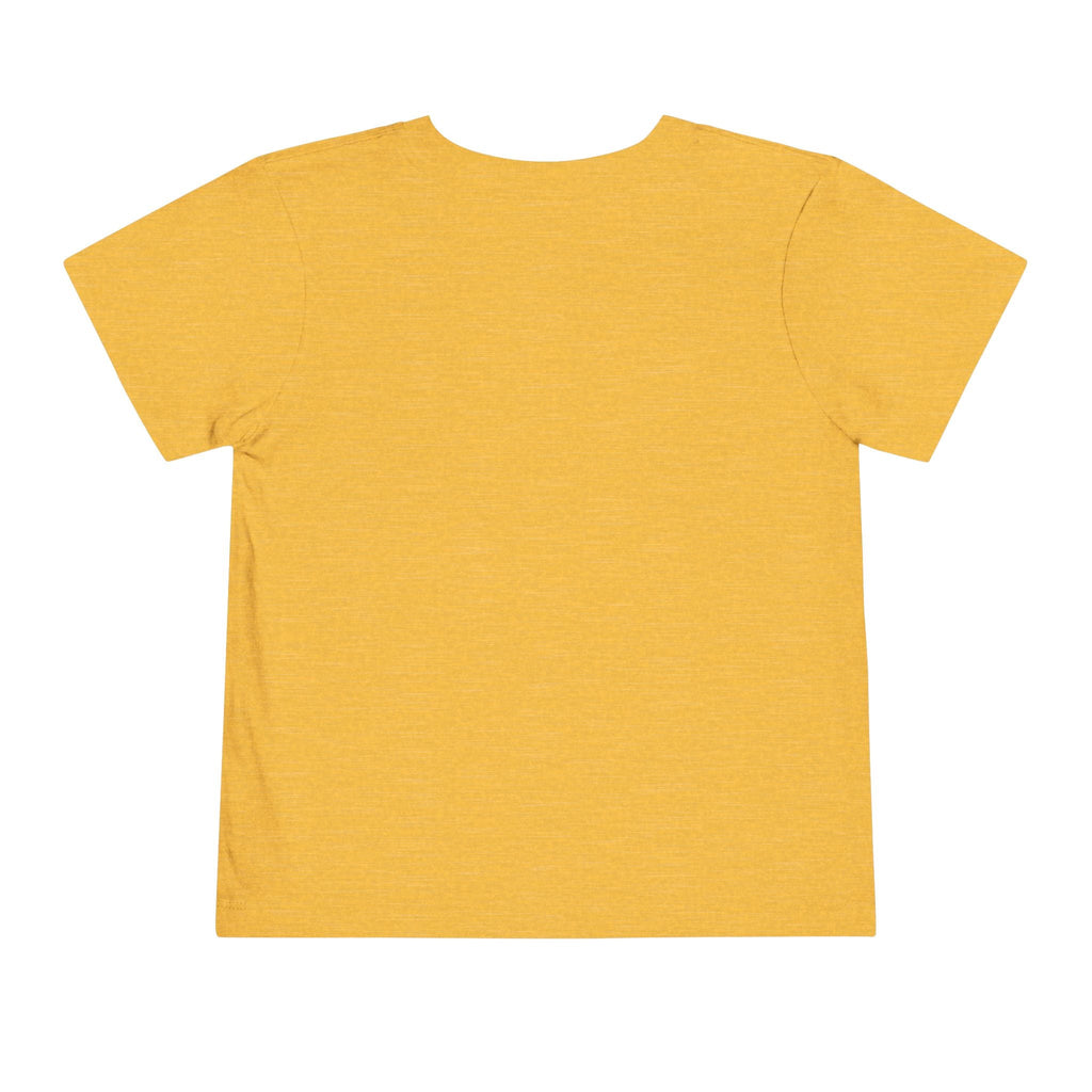 St Louis 314 All Day Toddler Tee - 314 Originals