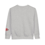 Toddler Sweatshirt — Cute Ladybug Graphic Crewneck for Kids - 314 Originals