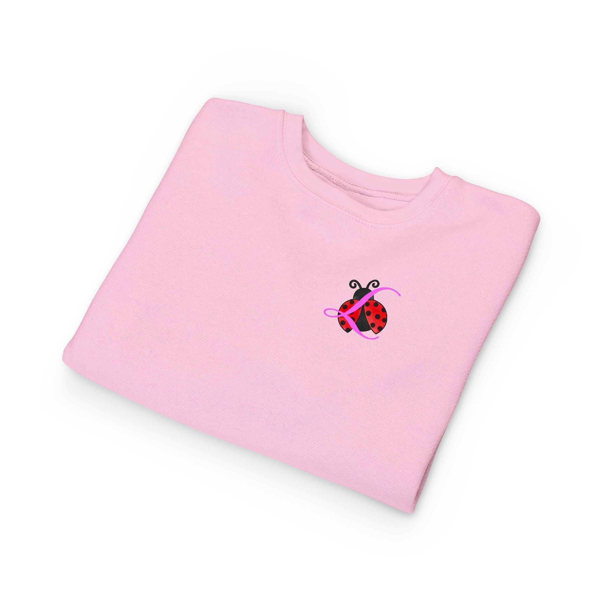 Toddler Sweatshirt — Cute Ladybug Graphic Crewneck for Kids - 314 Originals